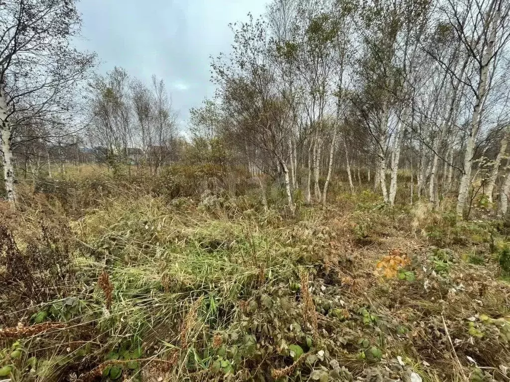 Участок в Сахалинская область, Южно-Сахалинск Майкопская ул. (7.5 ... - Фото 1