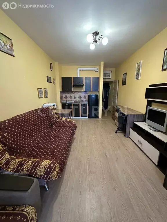 Квартира-студия: Санкт-Петербург, улица Адмирала Черокова, 22 (24 м) - Фото 1