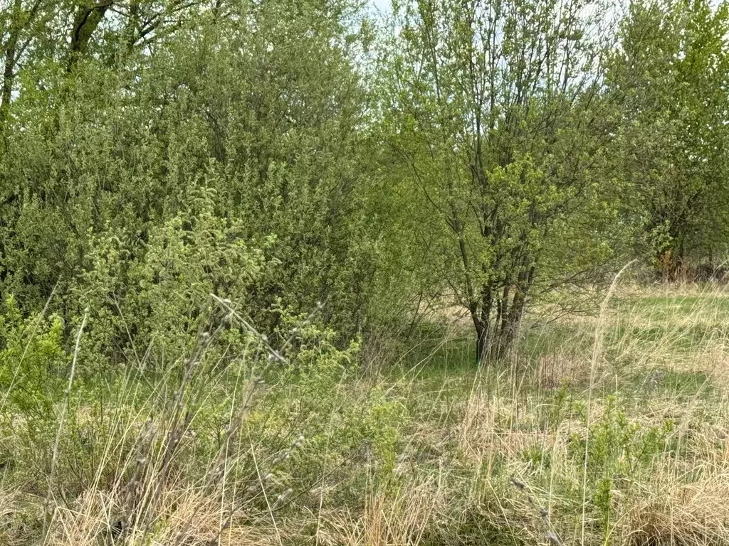 Участок в Московская область, Богородский городской округ, д. Старые ... - Фото 0