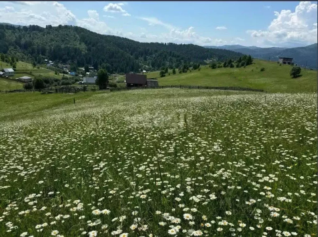 Участок в Алтай, Майминский район, с. Кызыл-Озек ул. Калиновая, 48 ... - Фото 1