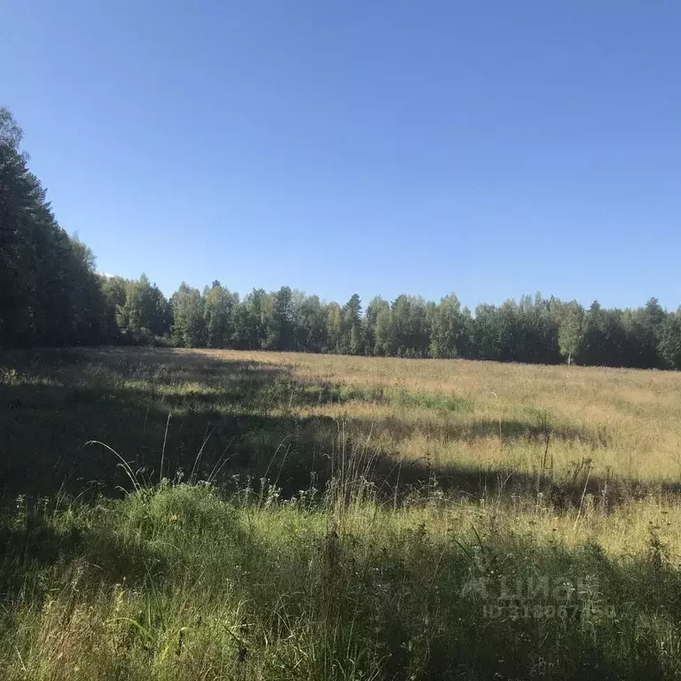 Участок в Ярославская область, Рыбинский муниципальный округ, д. ... - Фото 0