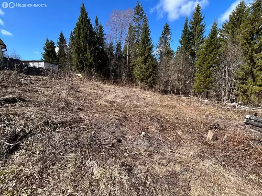 Участок в Сыктывкар, территория Дырносский, СНТ Ёлочка (6.23 м) - Фото 0