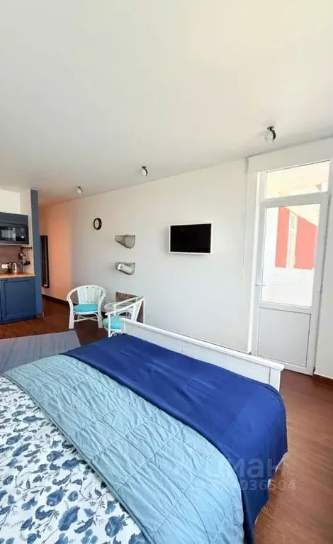 Студия Краснодарский край, Сочи Виноградная ул., 22/1Б (40.0 м) - Фото 2