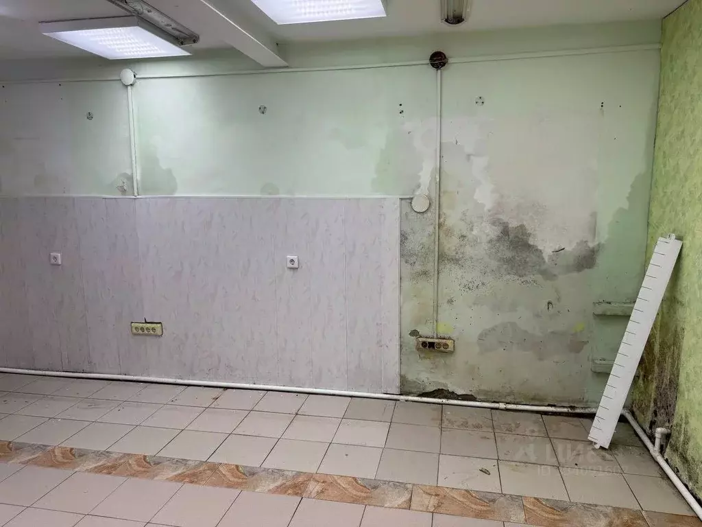 Помещение свободного назначения в Тюменская область, Ишим ул. Ленина, ... - Фото 2