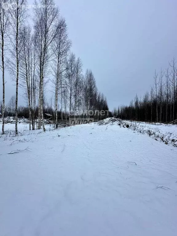 Участок в Череповецкий район, Ирдоматское сельское поселение, деревня ... - Фото 0