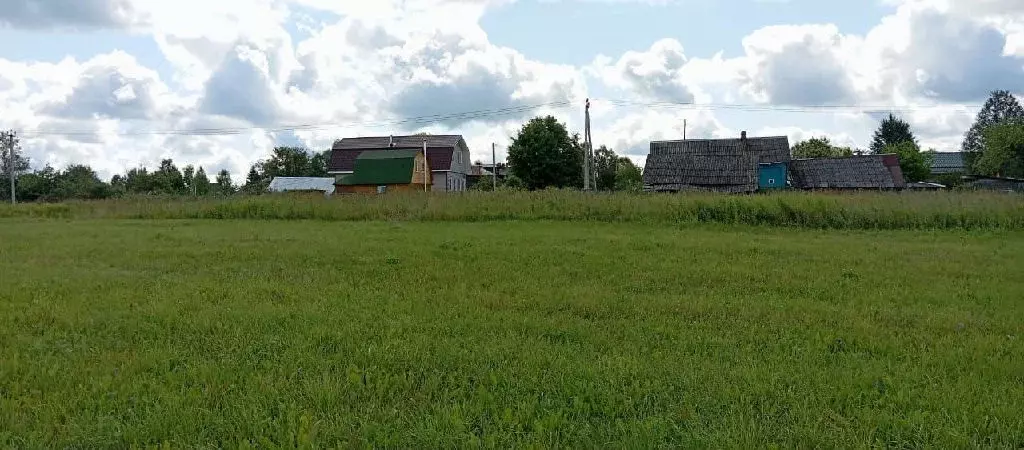 Продается участок в д. Желдыбино - Фото 2