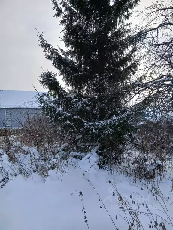 Участок в Свердловская область, Верхняя Пышма Южная ул. (5.7 сот.) - Фото 1