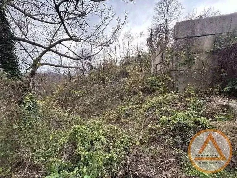 Участок в Краснодарский край, Туапсинский муниципальный округ, Восход ... - Фото 1