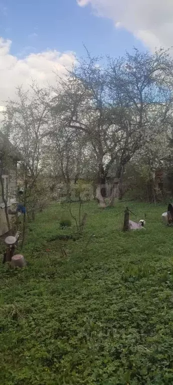 Участок в Московская область, Дмитровский муниципальный округ, Борьба ... - Фото 1