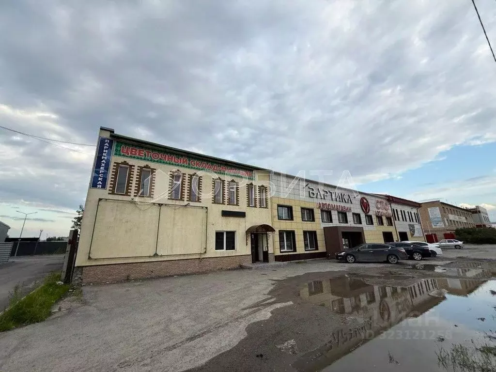 Помещение свободного назначения в Тюменская область, Тюмень ул. ... - Фото 1