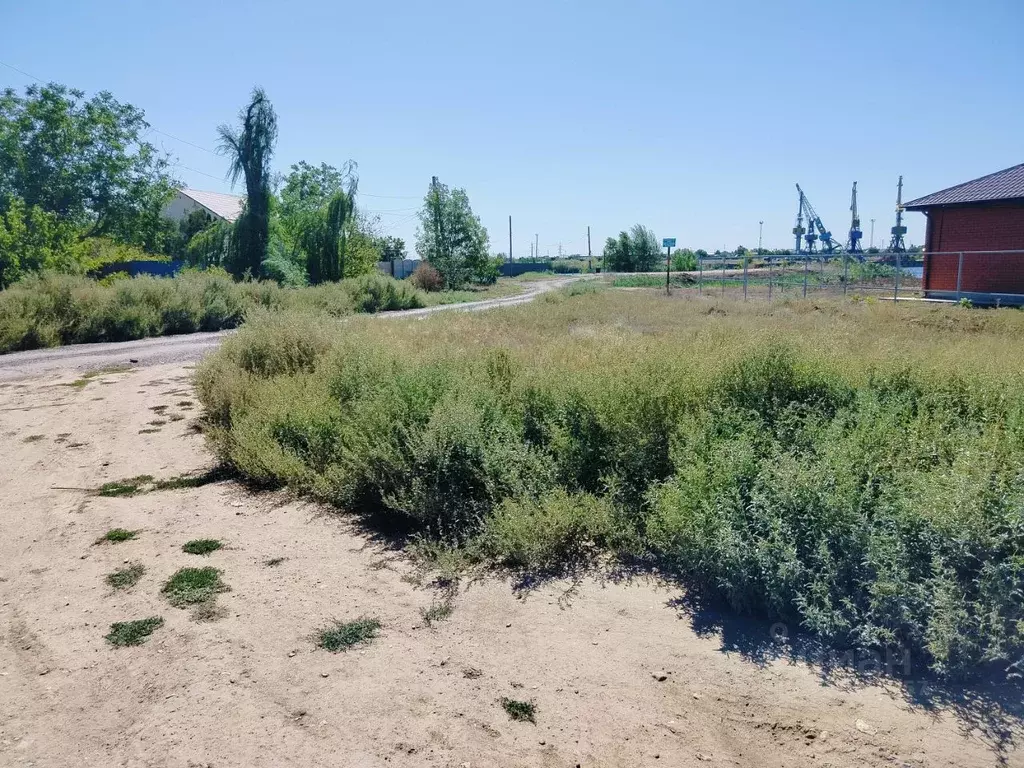 Участок в Волгоградская область, Волжский Трубник СНТ, ул. 1А (7.0 ... - Фото 2