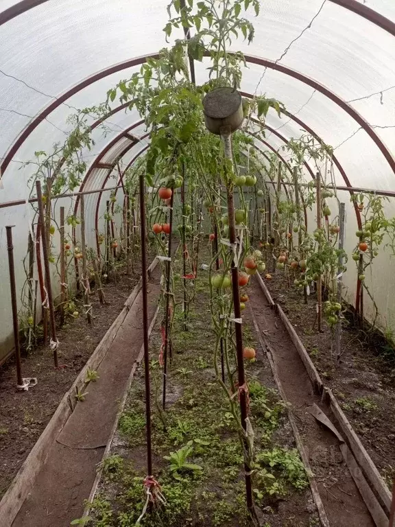 Дом в Нижегородская область, Бор Юбилейный СНТ, 93 (37 м) - Фото 2