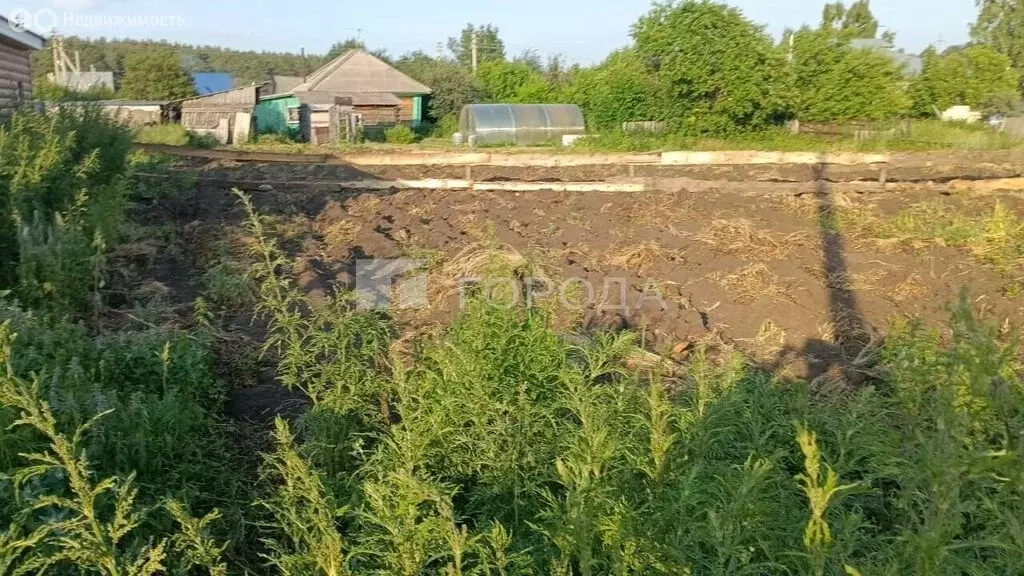 Участок в Ордынский район, поселок Чернаково, улица Карла Маркса, 24 ... - Фото 1