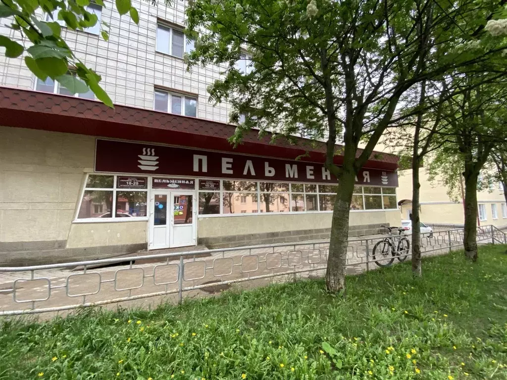 Помещение свободного назначения в Коми, Сыктывкар ул. Бабушкина, 38 ... - Фото 1