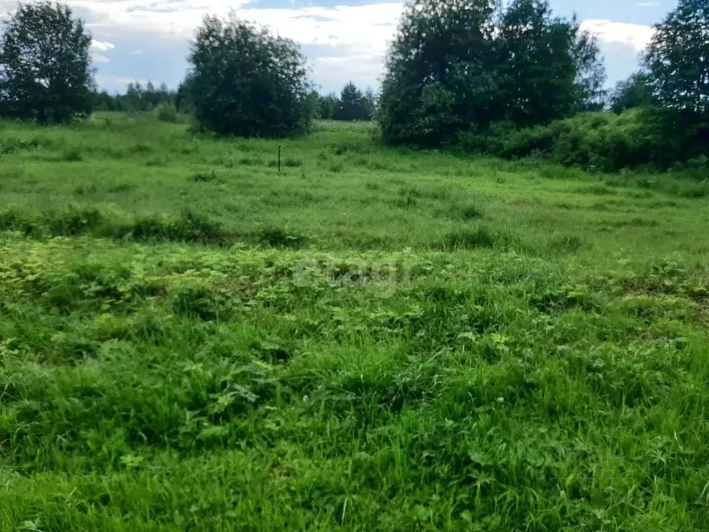 Участок в Архангельская область, Котласский муниципальный округ, д. ... - Фото 1