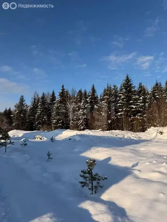 Участок в Ленинградская область, Гатчинский муниципальный округ, ... - Фото 2