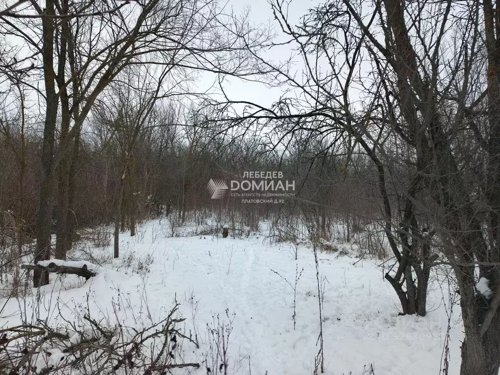 Участок в Ростовская область, Октябрьский район, пос. Персиановский, ... - Фото 1