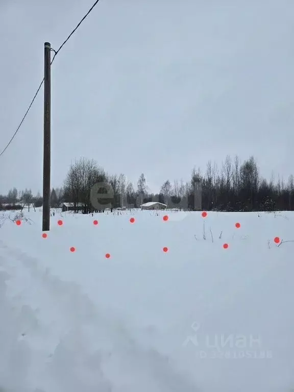 Участок в Вологодская область, д. Коробово  (8.0 сот.) - Фото 1