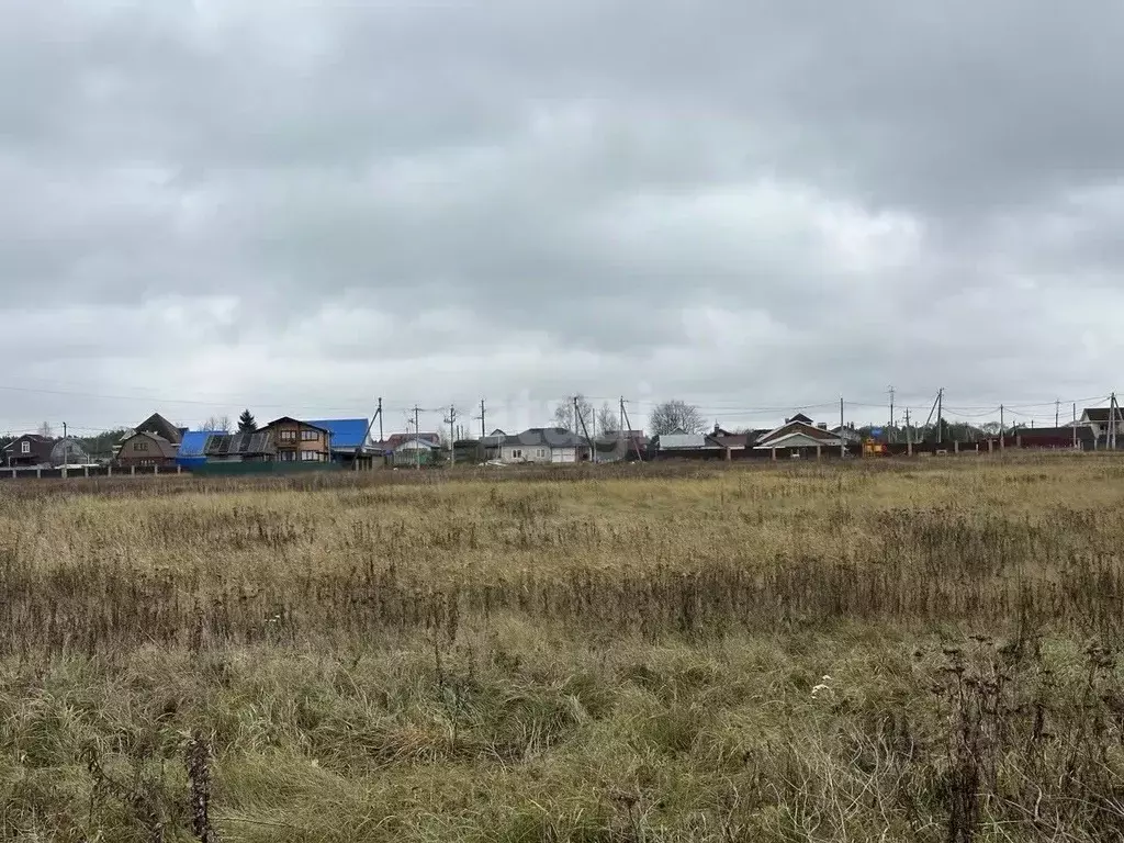 Участок в Калужская область, Дзержинский муниципальный округ, Дворцы ... - Фото 1