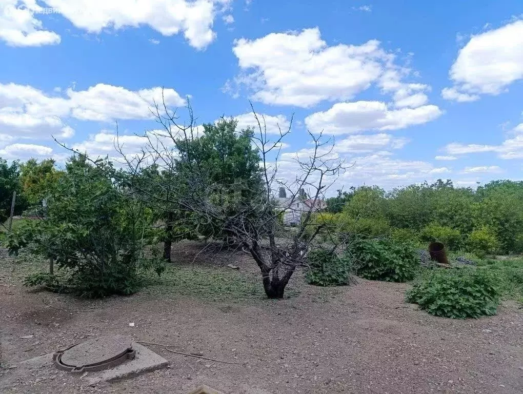 Участок в Родниково, Воронежская улица (14.49 м) - Фото 1