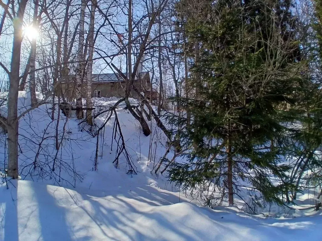 Участок в Московская область, Сергиево-Посадский городской округ, пос. ... - Фото 1