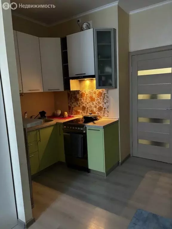 Квартира-студия: посёлок Шушары, Вилеровский переулок, 6 (23 м) - Фото 1