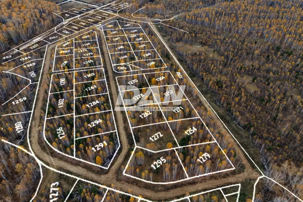 Участок в Челябинская область, Сосновский муниципальный округ, ... - Фото 2