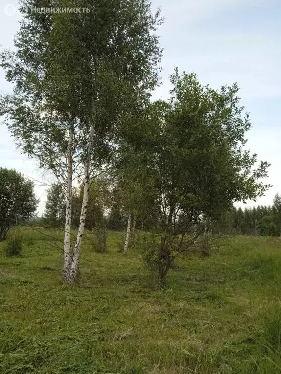 Участок в Нерехта, Егорьевская улица, 14 (8.8 м) - Фото 1