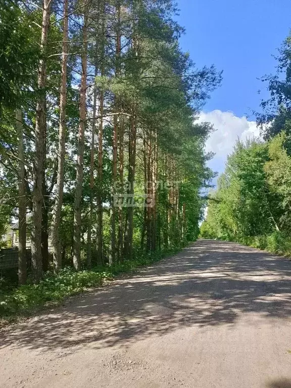 Участок в Ленинградская область, Тосно г. Тосненский район, Тосненское ... - Фото 2