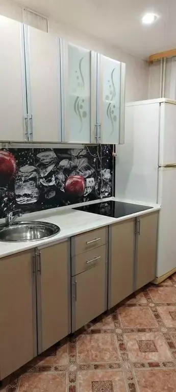 2-к кв. Новосибирская область, Бердск Советская ул., 54 (46.0 м) - Фото 2