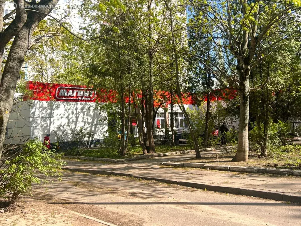 Помещение свободного назначения (294 м) - Фото 0