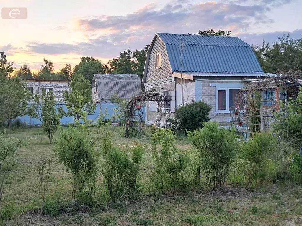 Дом в Воронежская область, Новоусманский район, с. Бабяково Зеленая ... - Фото 1