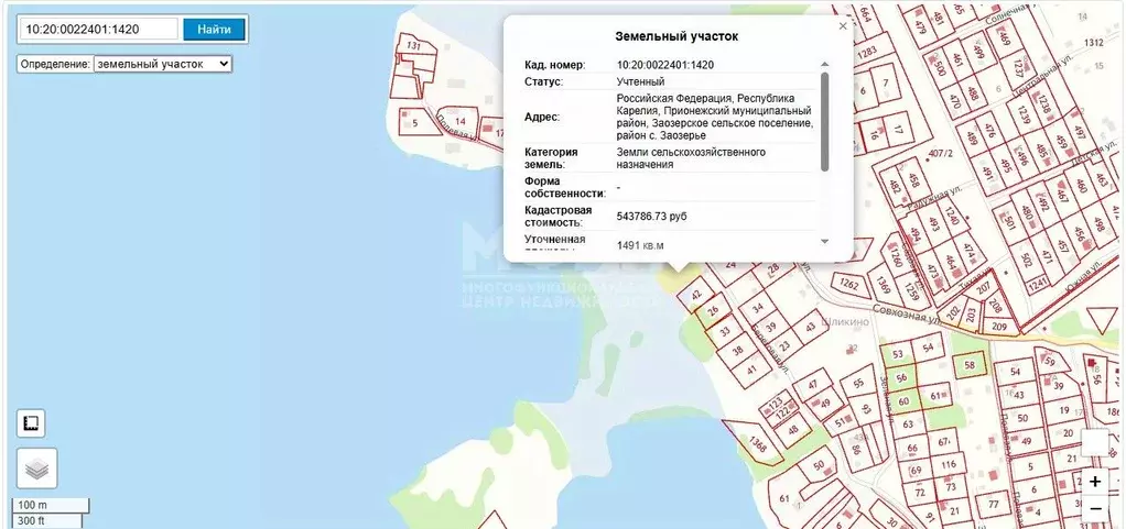 Участок в Карелия, Прионежский район, с. Заозерье  (14.91 сот.) - Фото 2