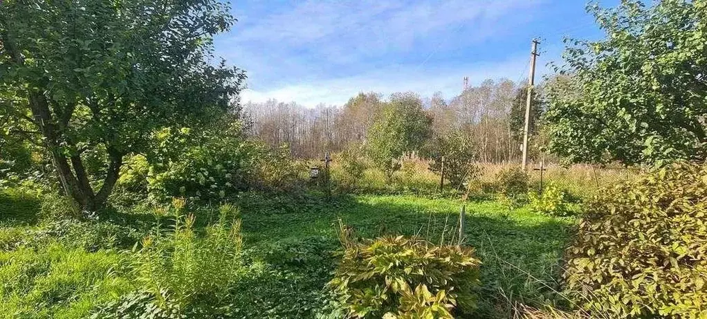 Дом в Ленинградская область, Волосовский район, Большеврудское с/пос, ... - Фото 1