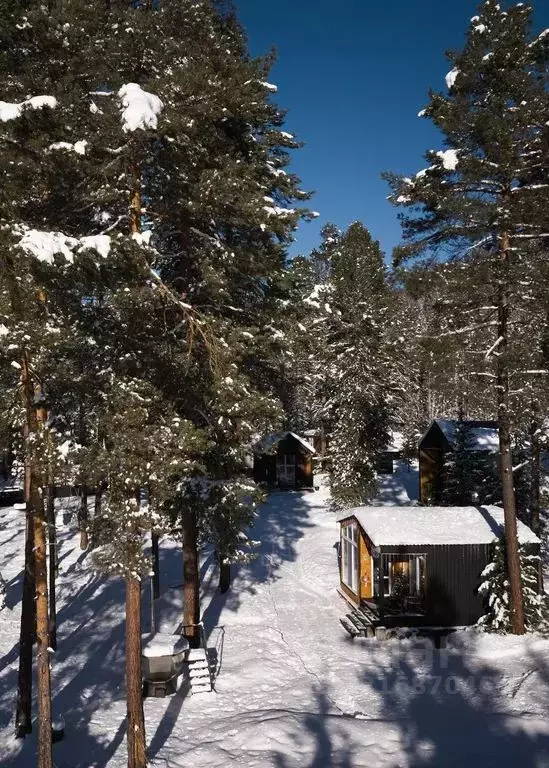 Дом в Алтай, Турочакский район, с. Артыбаш ул. Юртокская, 24 (36 м) - Фото 2