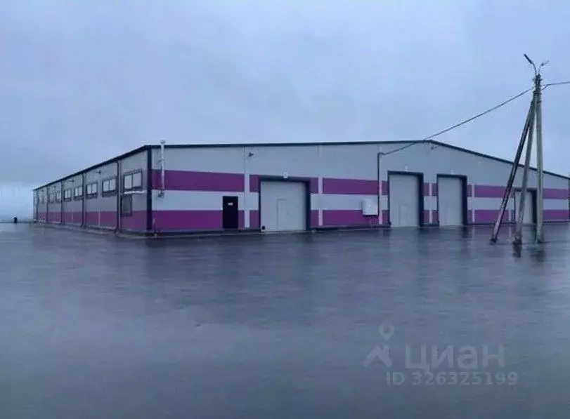 Производственное помещение в Ленинградская область, Всеволожский ... - Фото 2