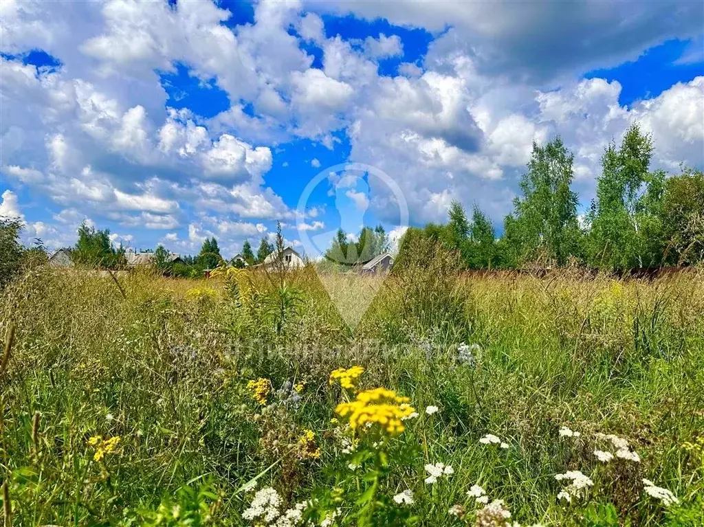 Участок в Рязанская область, Рязанский район, Полянское с/пос, Заря ... - Фото 2