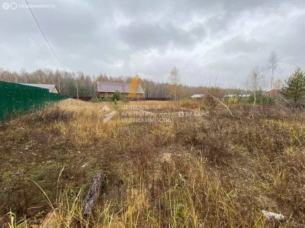 Участок в Рязанская область, Касимовский муниципальный округ, деревня ... - Фото 2