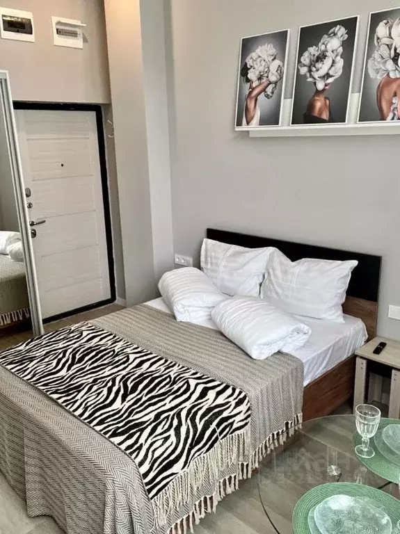 1-к кв. Краснодарский край, Сочи Новый Сочи мкр, ул. Клубничная, 1/17 ... - Фото 1