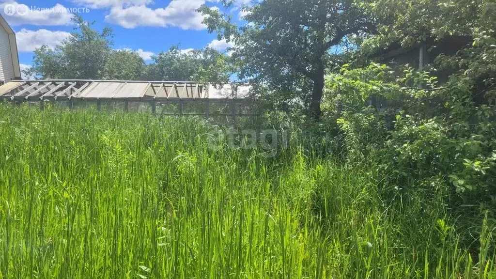 Участок в Чехов, СНТ 40-й Годовщины Октября (6 м) - Фото 1