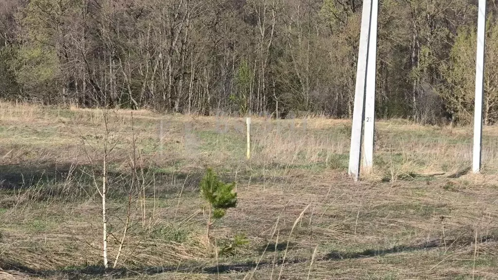 Участок в Татарстан, Елабужский район, Костенеевское с/пос, с. ... - Фото 2