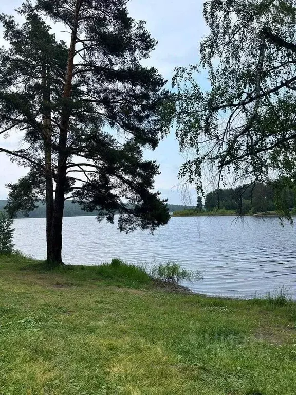 Участок в Свердловская область, Ревда муниципальный округ, пос. ... - Фото 0