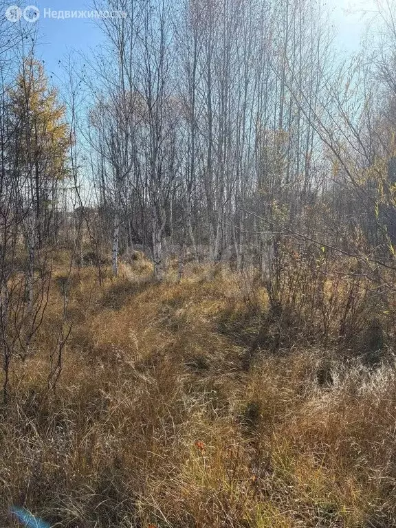 Участок в Ангарск, 259-й квартал (10 м) - Фото 2