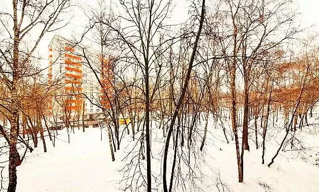 Комната Москва Болотниковская ул., 43К1 (18.0 м) - Фото 1