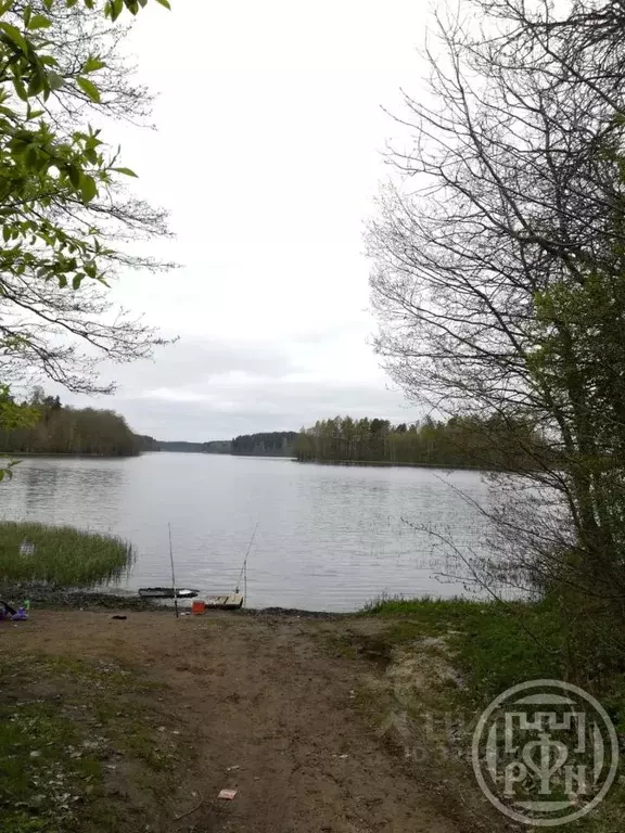 Участок в Ленинградская область, Приозерский район, пос. Сосново ул. ... - Фото 2