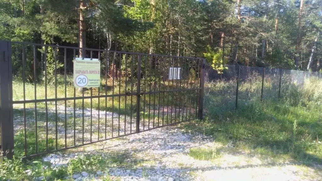 Участок в Владимирская область, Киржачский муниципальный округ, Лесное ... - Фото 1