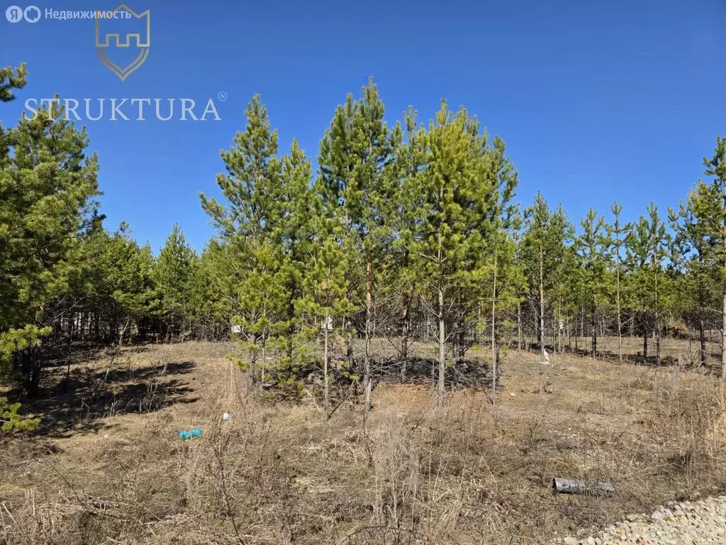 Участок в Свердловская область, Белоярский муниципальный округ, ... - Фото 2