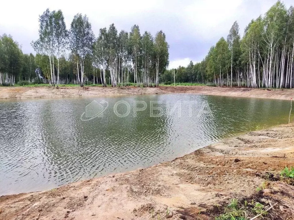 Участок в Тюменская область, Нижнетавдинский район, Строитель ТСН 226 ... - Фото 0