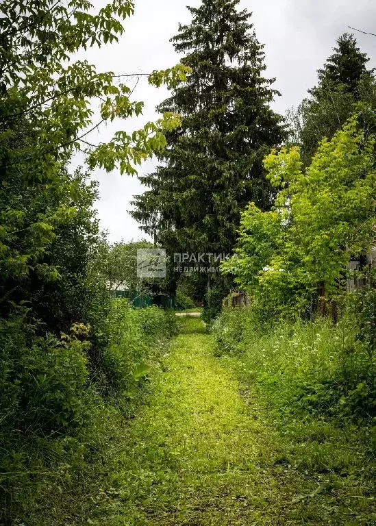 Продается дом в дп Черкизово - Фото 2