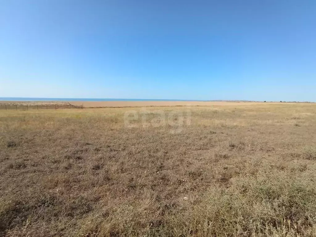 Участок в Крым, Ленинский район, с. Калиновка ул. Абденановой (6.3 ... - Фото 1